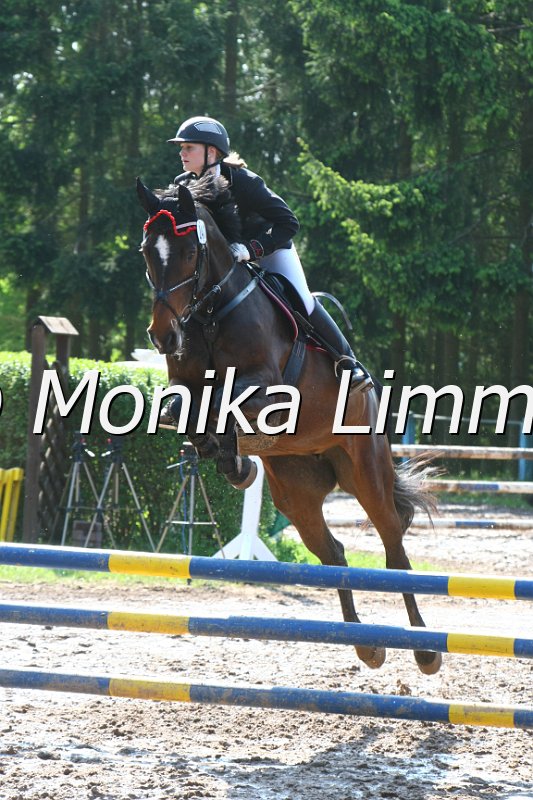 104M7912_Spring A.JPG